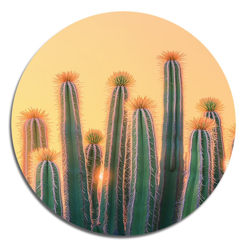 Mont - Cactus rond, décoration murale en métal vert traditionnel, H 16 po x l 16 po
