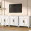 Armoire décorative-133693935