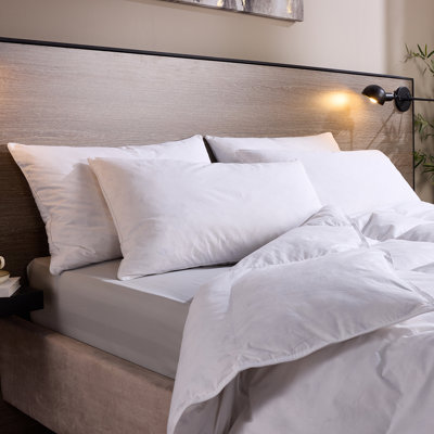 Luxurious Hotel Snuggledown Signature Goose Feather & Down Medium Support Back Sleeper Cotton Cover Pillow