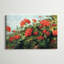 «Geranium Wave» - reproduction-1637780954-1630089471