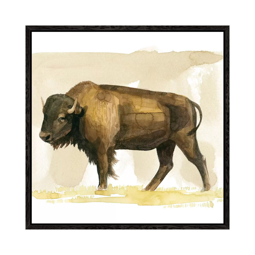 Bison Aquarell Skizze II