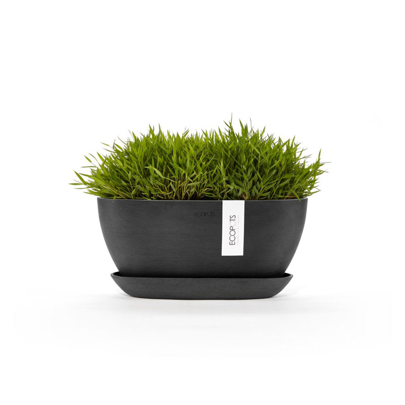 Pot Planter, Dark Gray