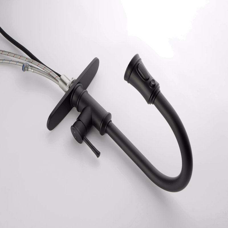 Kitchen Faucet With Pull Out Spraye