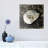 Marble Shell Series II-2027555562
