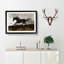 Galloping Horse in Abstract - Picture Frame Painting Print on MDF-55578621-55578625