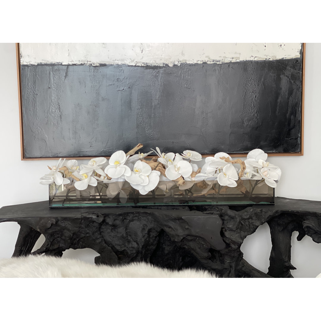 Orchid Arrangement in Planter CFA Design Group 