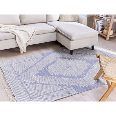 Pottstown Geometric Hand Woven Area Rug