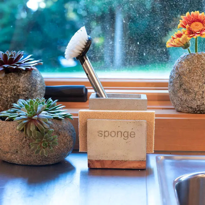 Sonoma Sponge Holder