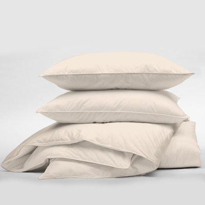 Ivory Standard Cotton Comforter Set