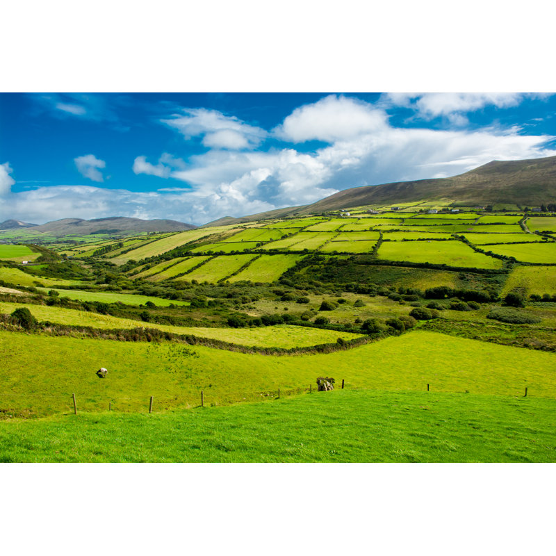 Rural Landscape With Pastures In Ireland - Wrapped Canvas Print, 61cm H x 91cm W x 3.8cm D