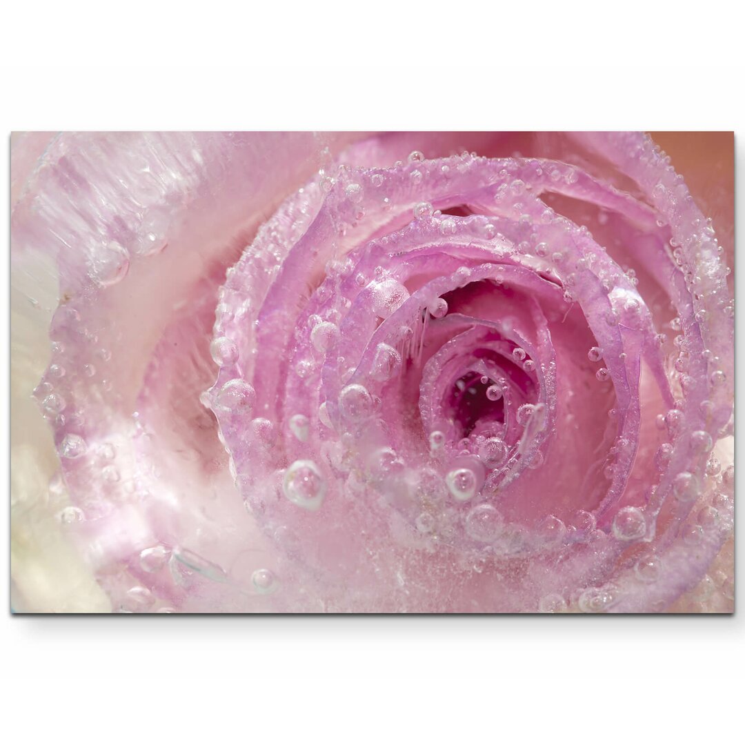 Leinwandbild Gefrorene Rose