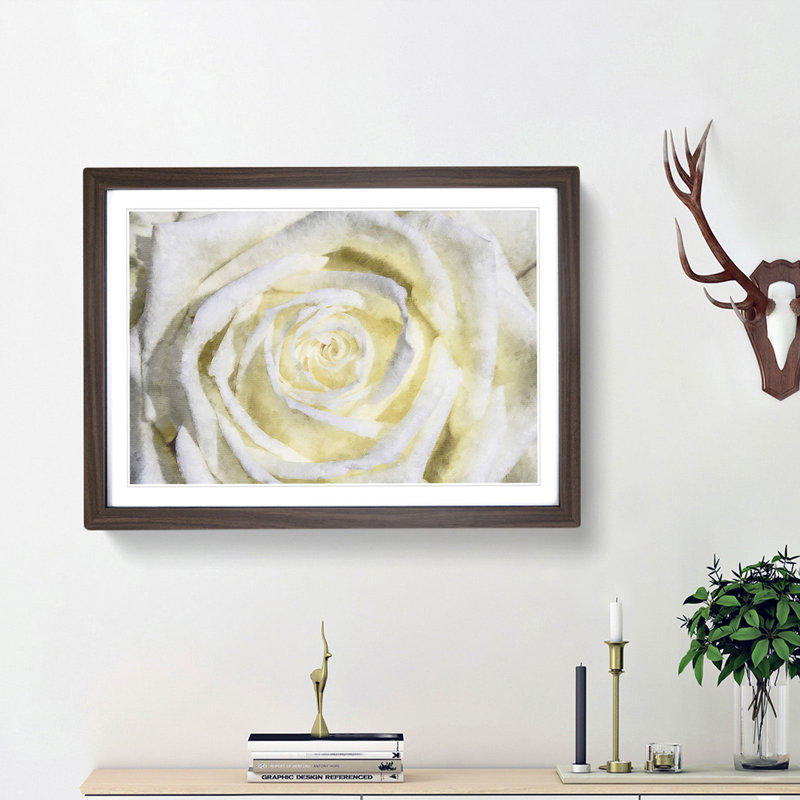Crisp White Rose - Picture Frame Graphic Art Print, 33cm H x 45cm W x 2cm D, Walnut Framed