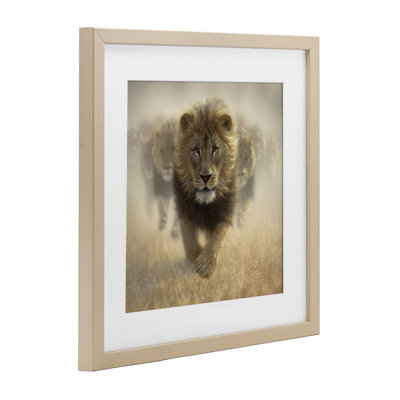 «Eat My Dust Lions», reproduction encadrée sous verre, conception de Collin Bogle