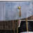 Asrith Dressing Table-1698889327