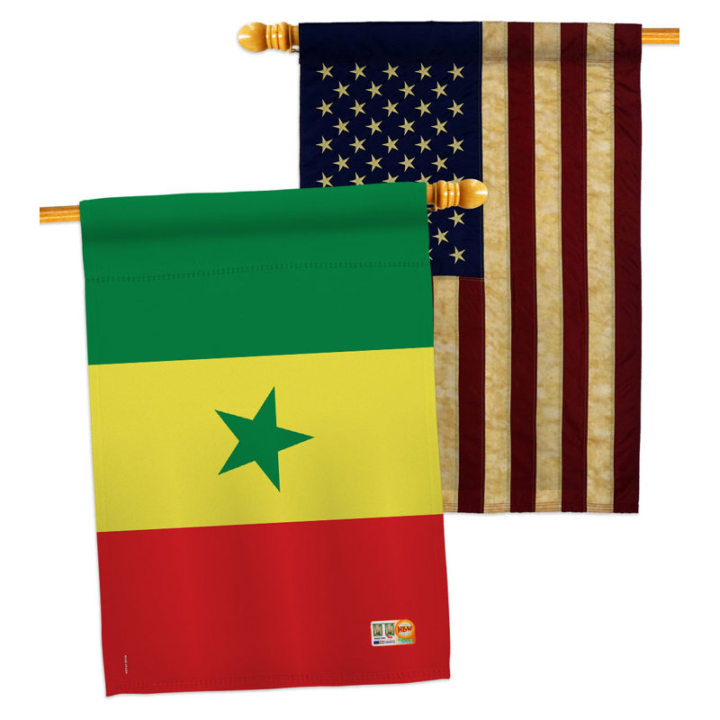 Double Sided 40'' H x 28'' W Polyester House Flag