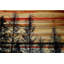 «Trees Against Red Sky» par Parvez Taj - impression sur bois-23840176
