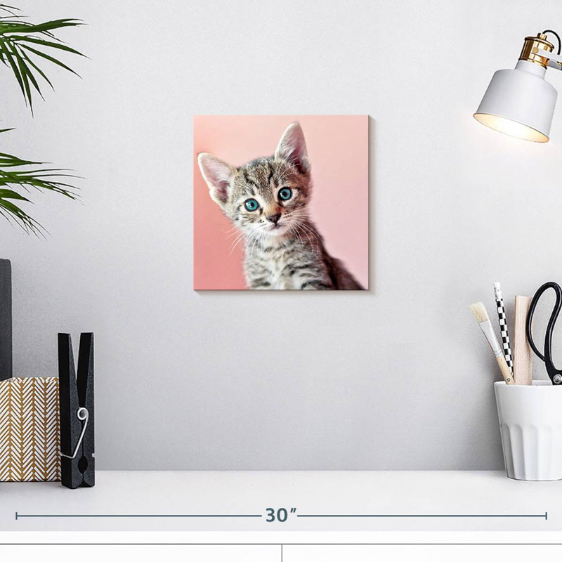Crowle Staring Cat, 10" H x 10" W