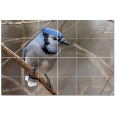 Bird Photo 8'' x 8''