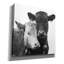  «Best Friends 2» par Decent Exposures, art mural sur toile, 26 po x 26 po-761019335