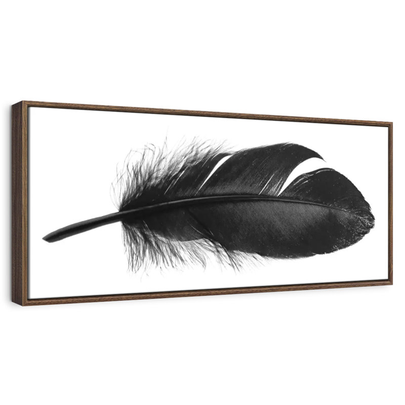 Plume foncée, 46 po x 16 po, Cadre flottant blanc