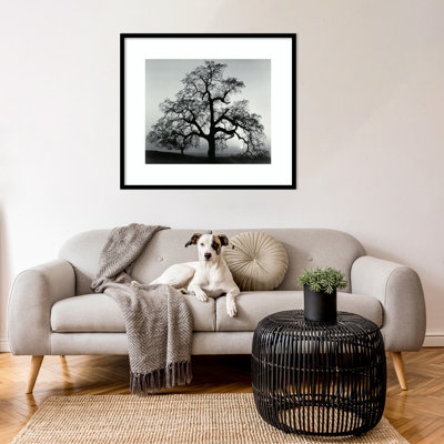 «Oak Tree Sunset City California» par Ansel Adams - reproduction d'un seul cadre