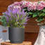 Concrete Effect Frostproof Outdoor Plant Pot, Garden Flower Pot, Cylinder Round Garden Planter with Drainage Holes, Outdoor Planter with Ribbed Pattern-93635347-93635348