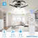 Draevyn 22'' Ceiling Fan with LED Lights