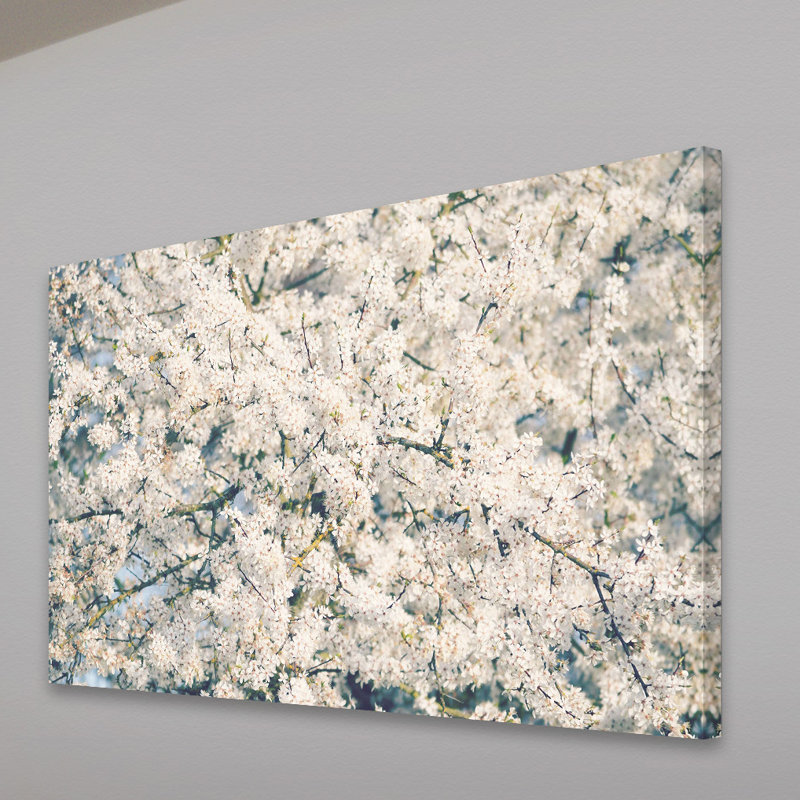 In Full Bloom 1 Piece Wrapped Canvas Wall Art, 51cm H x 76cm W x 4cm D