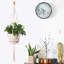Plant Hanger
