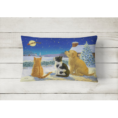 Outdoor Throw Pillow
