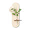 Creamy Sandstone Led Wall Decor With Water Vase & Greenery-248659046