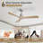 Nicola 52" 3-Blade Standard Ceiling Fan-42910912