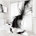 Noir, gris / abstrait