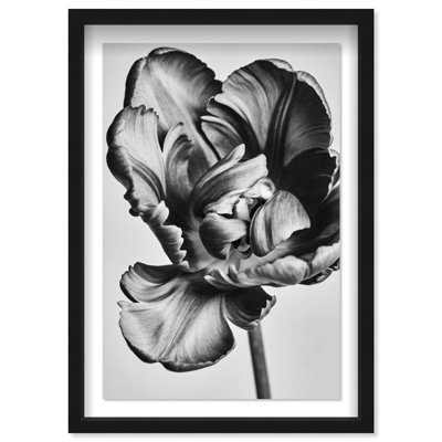 Graphite Flower Print by Oliver Gal