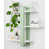 White/Green