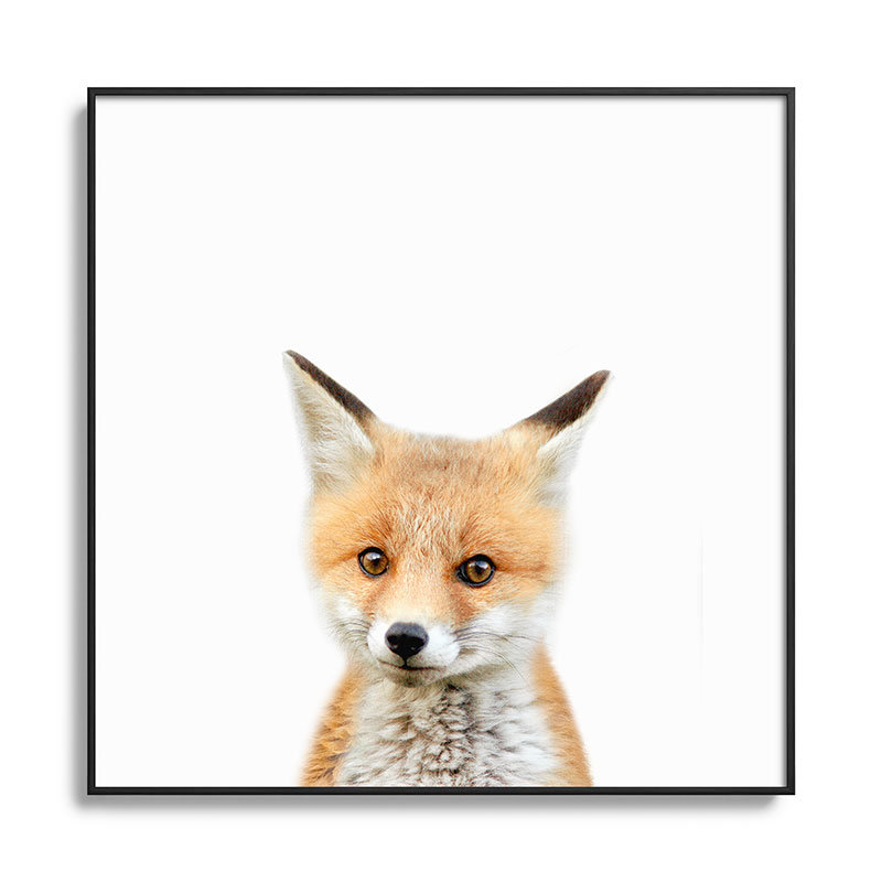 Bébé renard coloré - photographie encadrée sur verre, Noir, H 20 po x l 20 po x P 1 po