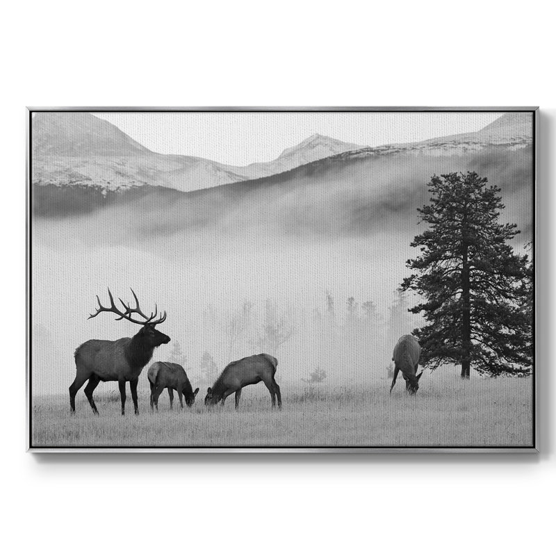 Mountain Elk, reproduction d'art sur toile, H 27 po x l 41 po x P 2 po, Argent