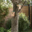 Bird Houses Solid Firwood 12x12x22 cm