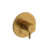 Brushed Gold is out of stock selected