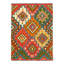 Felizarda Geometric Area Rug in Green