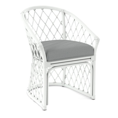 Raleigh Arm Chair by Birch Lane