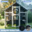 Cat Cage