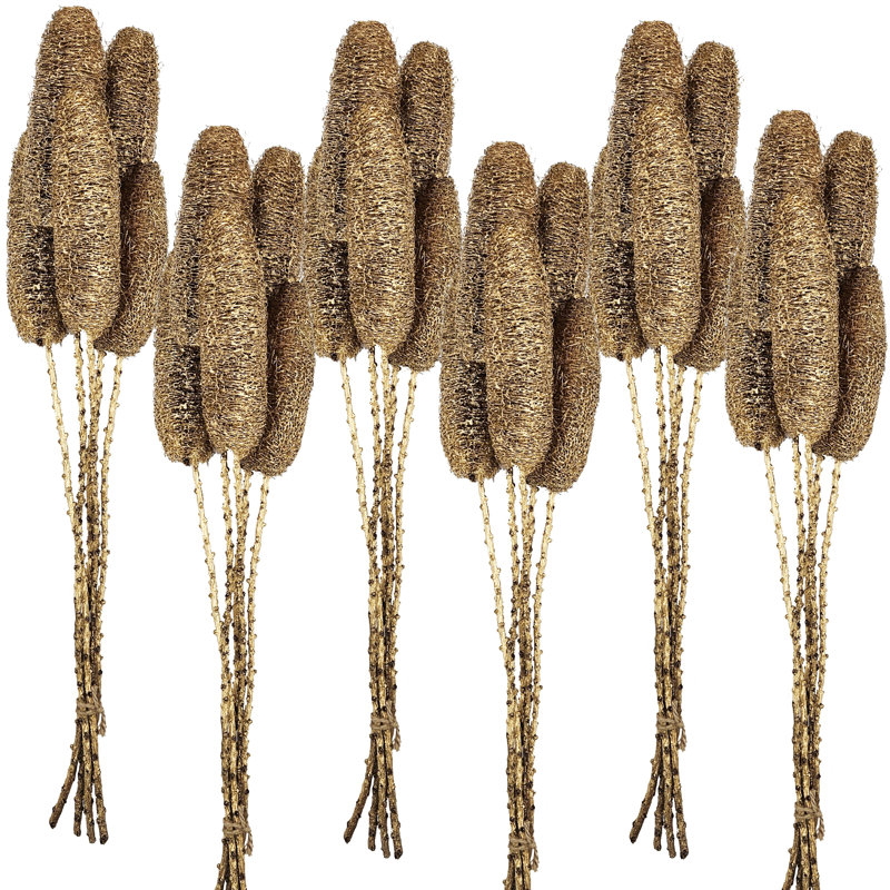 Ensemble de 5 tiges de brindilles 6 po Luffa 4 6 pièces 23,5 po or