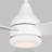 Ceiling Fan with LED Lights-220343686-211481073