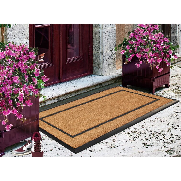 Wayfair  Sol 72 Outdoor™ Doormats You'll Love in 2023