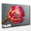 Pink Protea Photographic - Wrapped Canvas-19041185