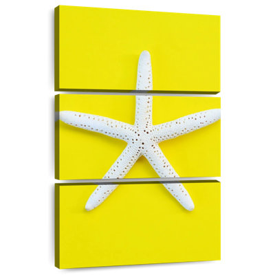 Brampt White Sea Star