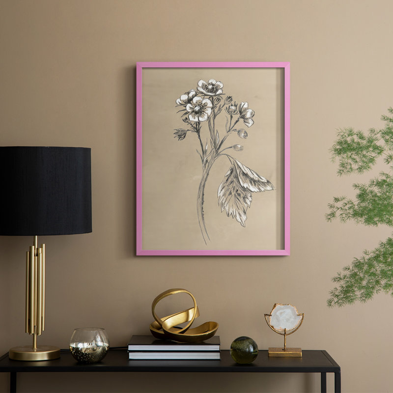 Reproduction encadrée rétro en botanique II, H 21 po x l 17 po, Rose