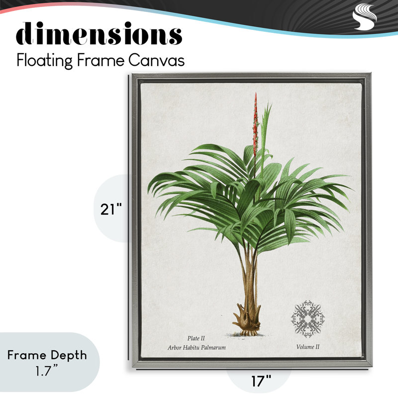 Cadre flottant Natural Palm, H 21 po x l 17 po, Cadre flottant gris lustré