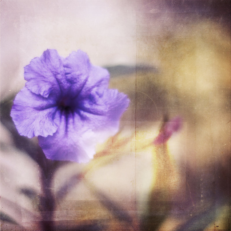 Tranquility I by Emily Robinson - Wrapped Canvas Art Prints, 30cm H x 30cm W